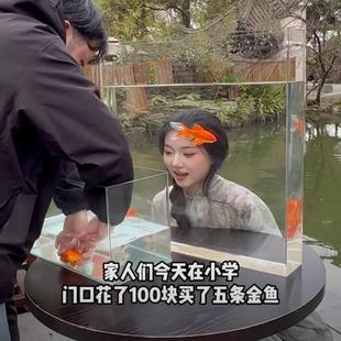 高透明亚克力鱼缸  婚礼拍摄 水箱水槽 窄长形鱼缸 小鱼缸 新款