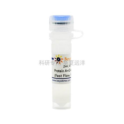 P2055-2ml Protein A+G Agarose (Fast Flow, for IP) 碧云天