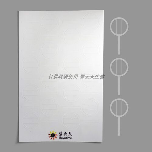 细胞划痕贴膜细胞迁移研究用