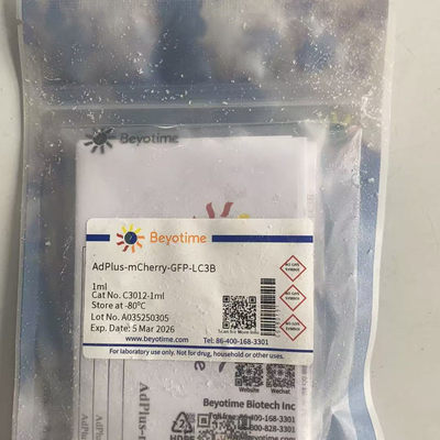 C3012-1ml AdPlus-mCherry-GFP-LC3B 碧云天