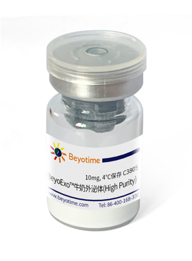 C3805 BeyoExo™牛奶外泌体(High Purity)