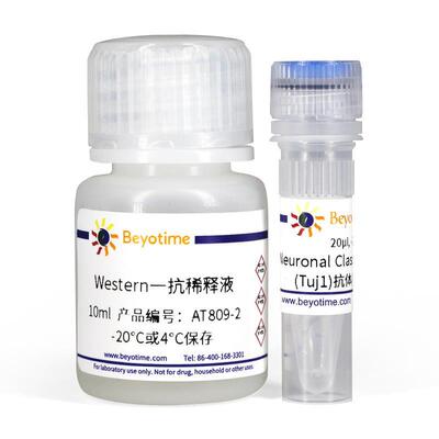AT809-10次 Neuronal Class III β-Tubulin(Tuj1)抗体 小鼠单抗