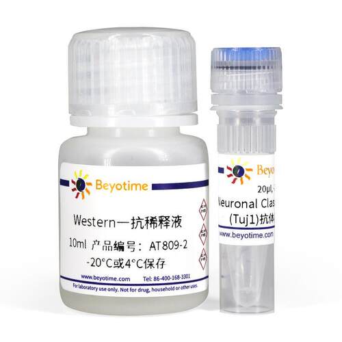 AT809-10次 Neuronal Class III β-Tubulin(Tuj1)抗体 小鼠单抗