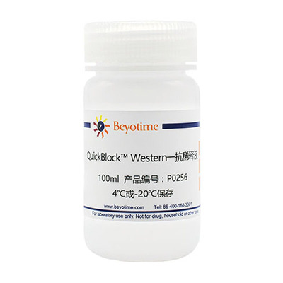 P0256 QuickBlock™ Western一抗稀释液