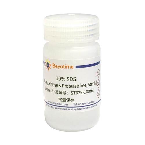 ST629-100ml 10% SDS（无DNase， RNase和蛋白酶，无菌）
