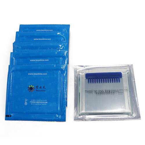 P0458S P0458M BeyoGel™ Plus PAGE预制胶(Tris-Gly, 12%, 10孔)