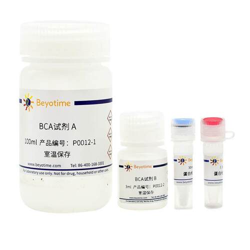 P0012-500次 BCA蛋白浓度测定试剂盒