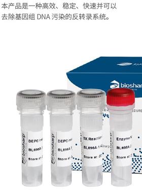 货号BL696A 一管化反转录试剂盒含gDNA酶SuperRT III