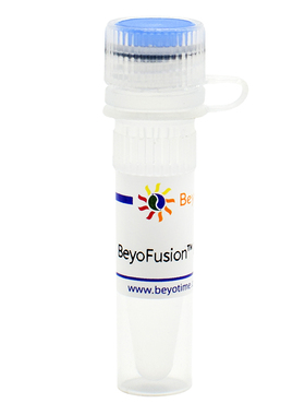 D7250 BeyoFusion™ PCR Master Mix (2X) 碧云天生物