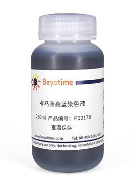 P0017B-250ml 考马斯亮蓝染色液(常规法)