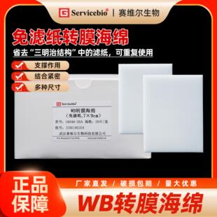 赛维尔 免滤纸转膜海绵 WB实验 转膜电泳