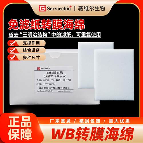 赛维尔 免滤纸转膜海绵 WB实验 转膜电泳
