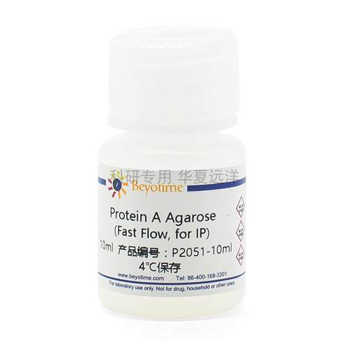 P2051-10ml Protein A Agarose (Fast Flow, for IP) 碧云天