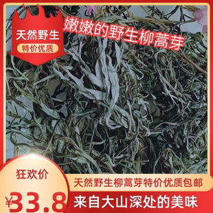 东北特产野生柳蒿芽干菜新鲜晒干东北山野菜干优质食材嫩特价包邮