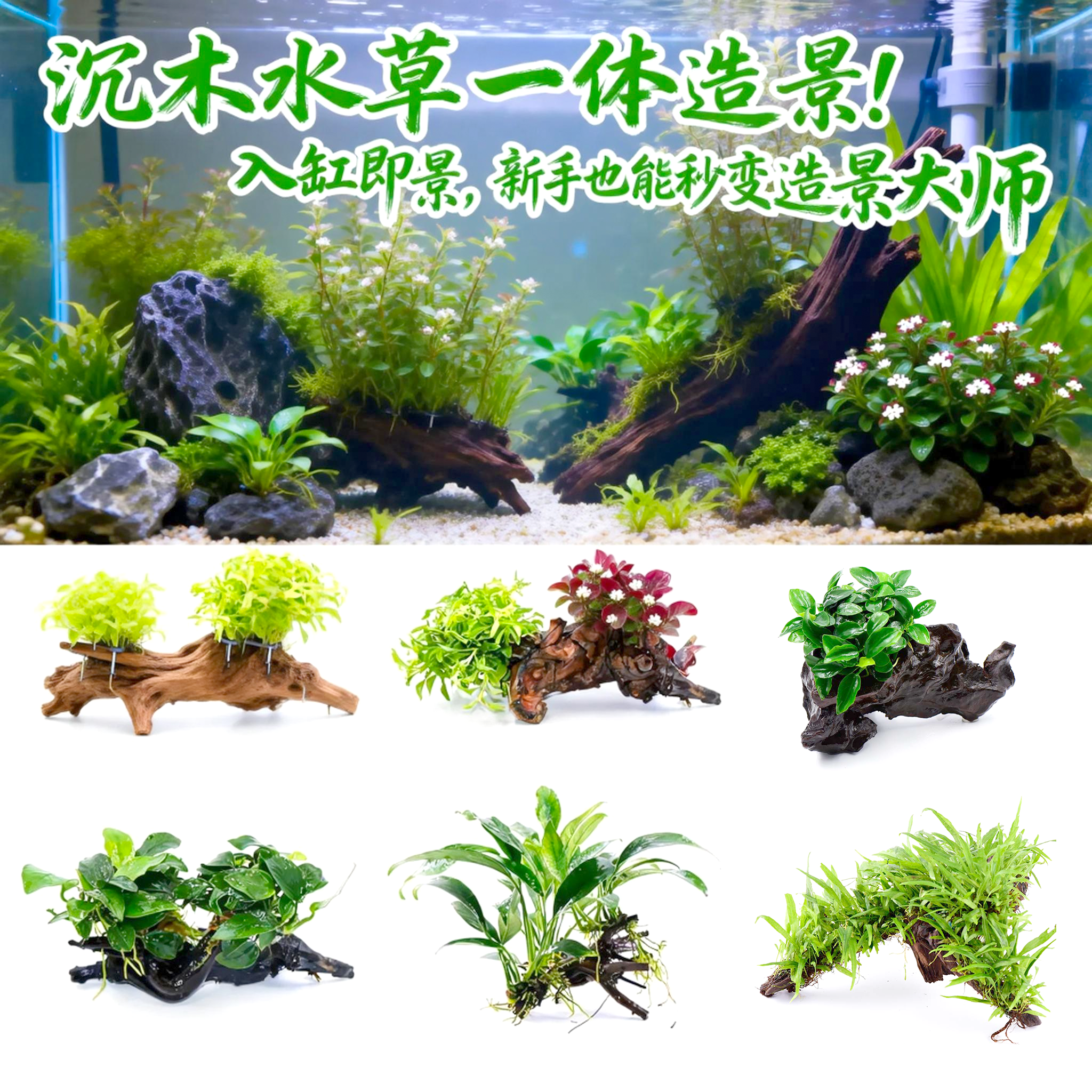 沉木水榕水草植物鱼缸造景装饰活体懒人莫斯阴性增氧净水椰壳屋