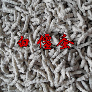 白僵蚕正品白疆虫 天虫炒僵蚕七子白面膜粉可磨白僵蚕粉500克包邮