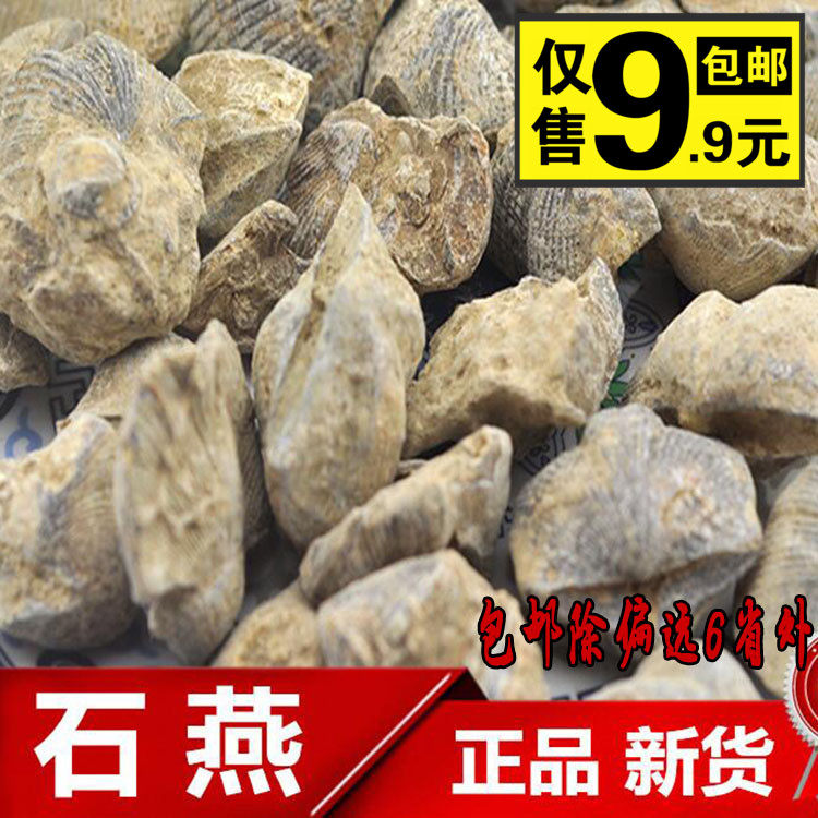 中药材 石燕 石燕子 大石燕 燕子石 水飞燕子 优质 无杂质 500克