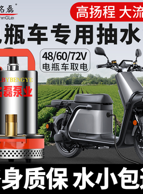 直流潜水泵48v60v72v电瓶车专用电动车抽水泵通用浇菜农用灌溉机