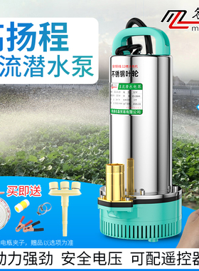 直流潜水泵电动车灌溉家用农用24v48v抽水机12v60v高扬程潜水泵