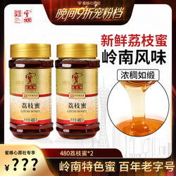 宝生园蜂蜜荔枝蜂蜜纯正天然岭南特色便携装