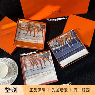 Hermes/爱马仕 45-70cm 小丝巾