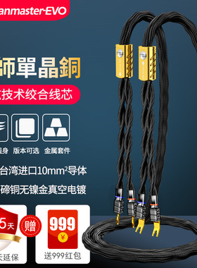 Tanmaster-EVO天师单晶铜10平方碲铜头HIFI发烧级功放音响喇叭线