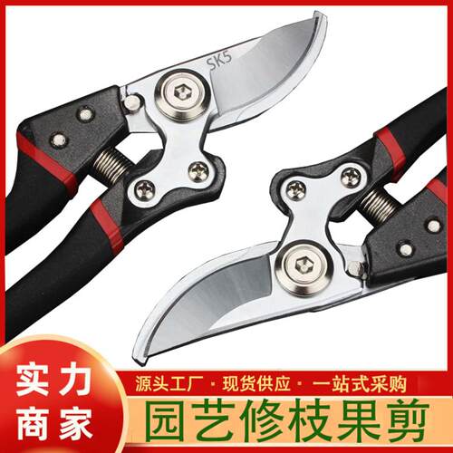 修枝剪园艺剪刀不锈钢树枝专用