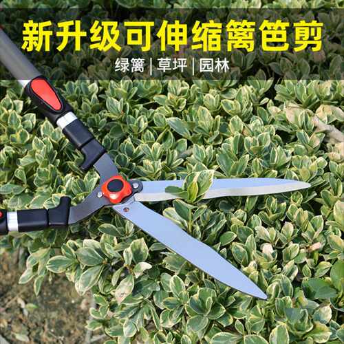 修剪树枝剪刀修枝剪园林伸缩杆刀