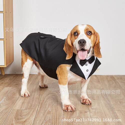 家现狗狗宠物燕服宠物DC02衣尾服宠物服厂装婚礼货西装外套狗套装