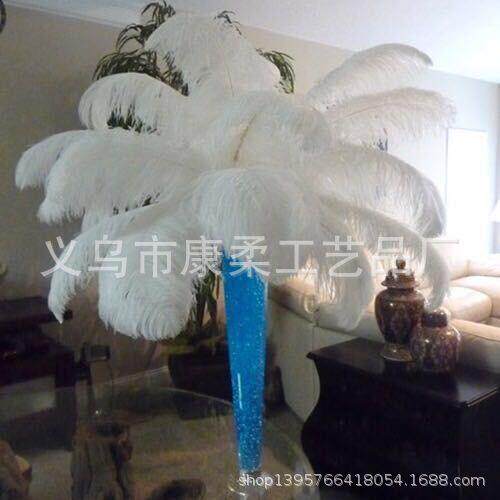 现货4550cm装XXW饰婚庆场景布置-南非进毛口细s杆鸵鸟鸵鸟羽in风