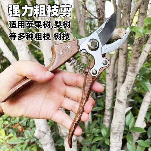 果树修枝剪树枝专用花艺花卉