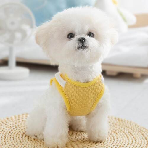 春夏季小狗狗背口袋可牵引泰小比熊型幼犬猫心咪宠物迪2404SXMJ狗