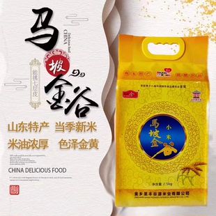 马坡金谷小米2025年新小黄米粥小黄贡米月子山东济宁金乡特产5斤