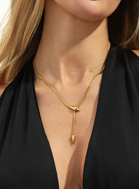 不锈钢蛇骨链项链女 2026夏季新潮时尚小众设计网红气质锁骨链