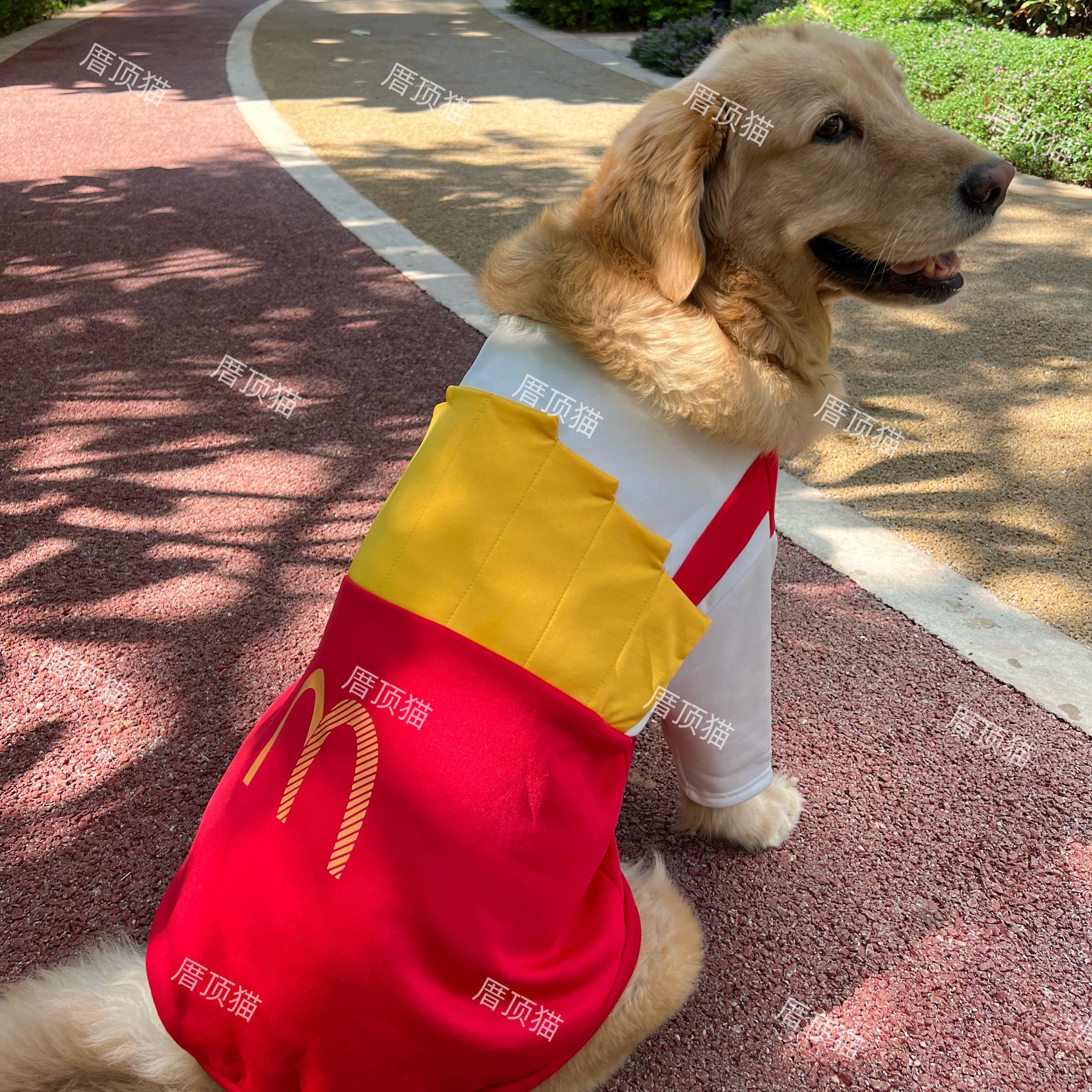 原创狗狗薯条大狗衣服金毛大型犬拉布拉多边牧萨摩耶冬季加绒衣服