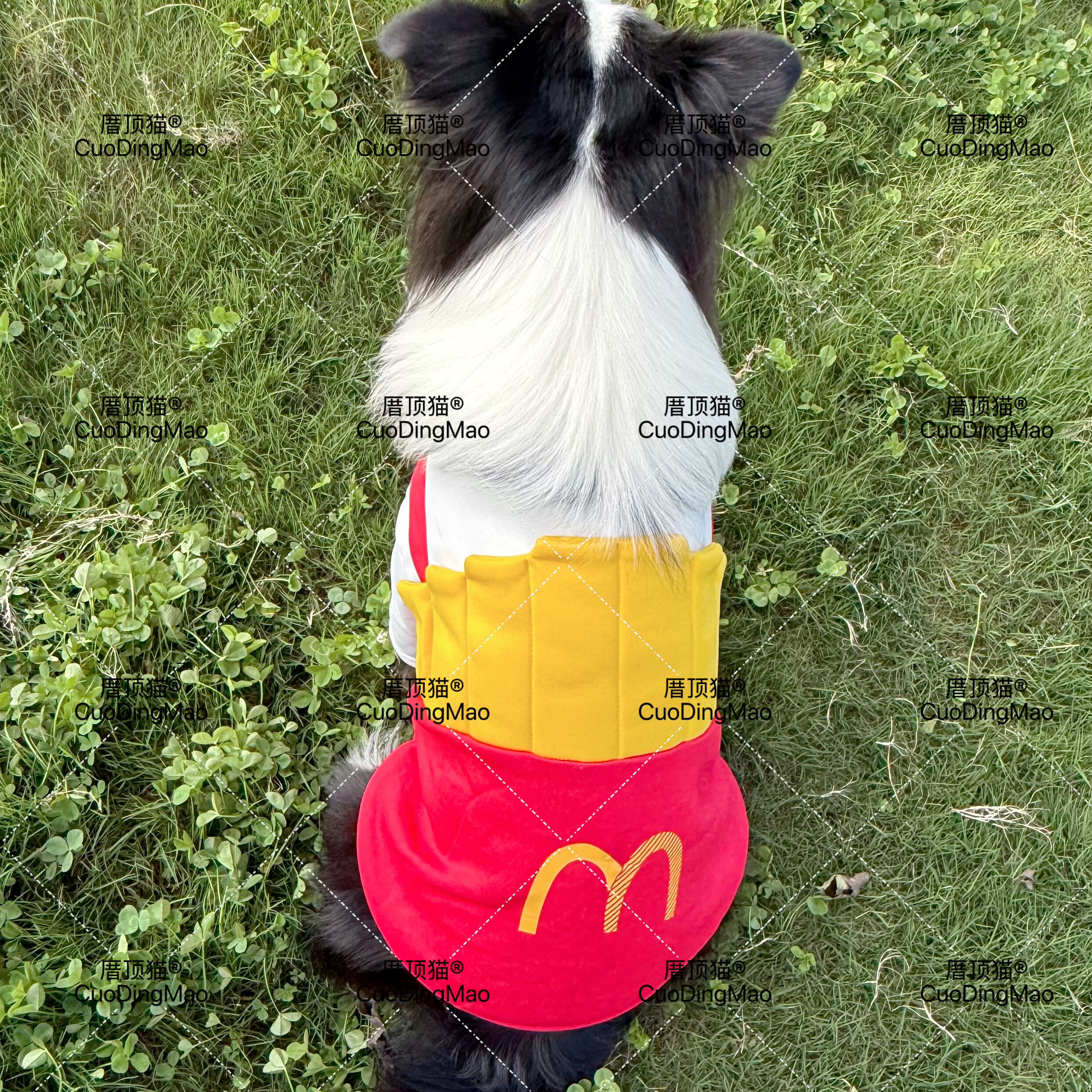 原创狗狗薯条大狗衣服金毛大型犬拉布拉多边牧萨摩耶冬季加绒衣服