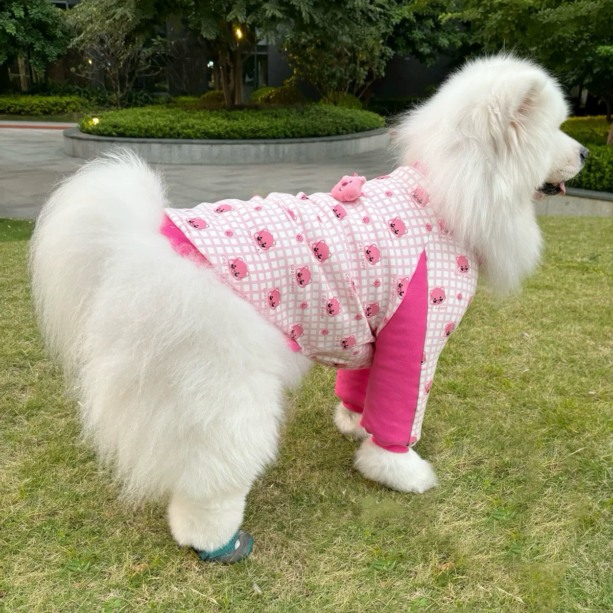 中大型犬护肘服宠物加绒衣服关节保护大狗防肘磨损保养护膝服装潮