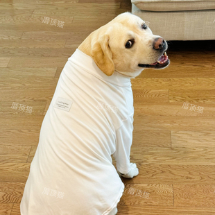 中大型犬德绒打底衫拉布拉多金毛边牧萨摩耶狗狗保暖衣服大狗服装