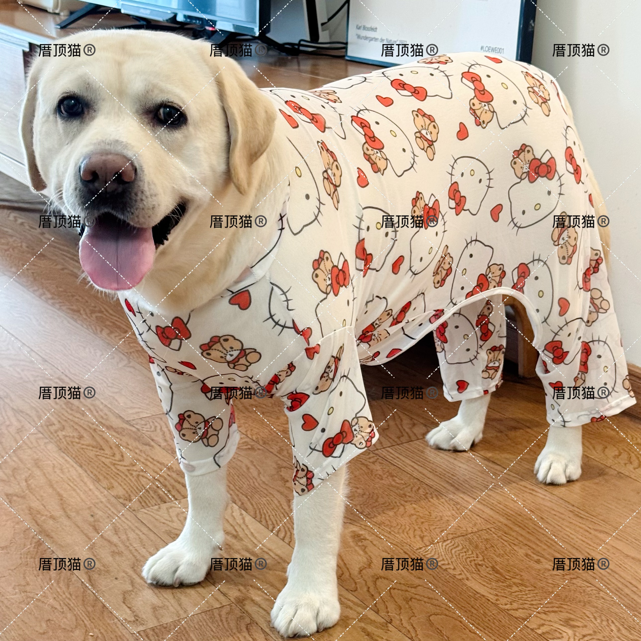 网纱四脚服装大型犬拉布拉多金毛边牧狗狗衣服防晒防掉毛宠物衣服