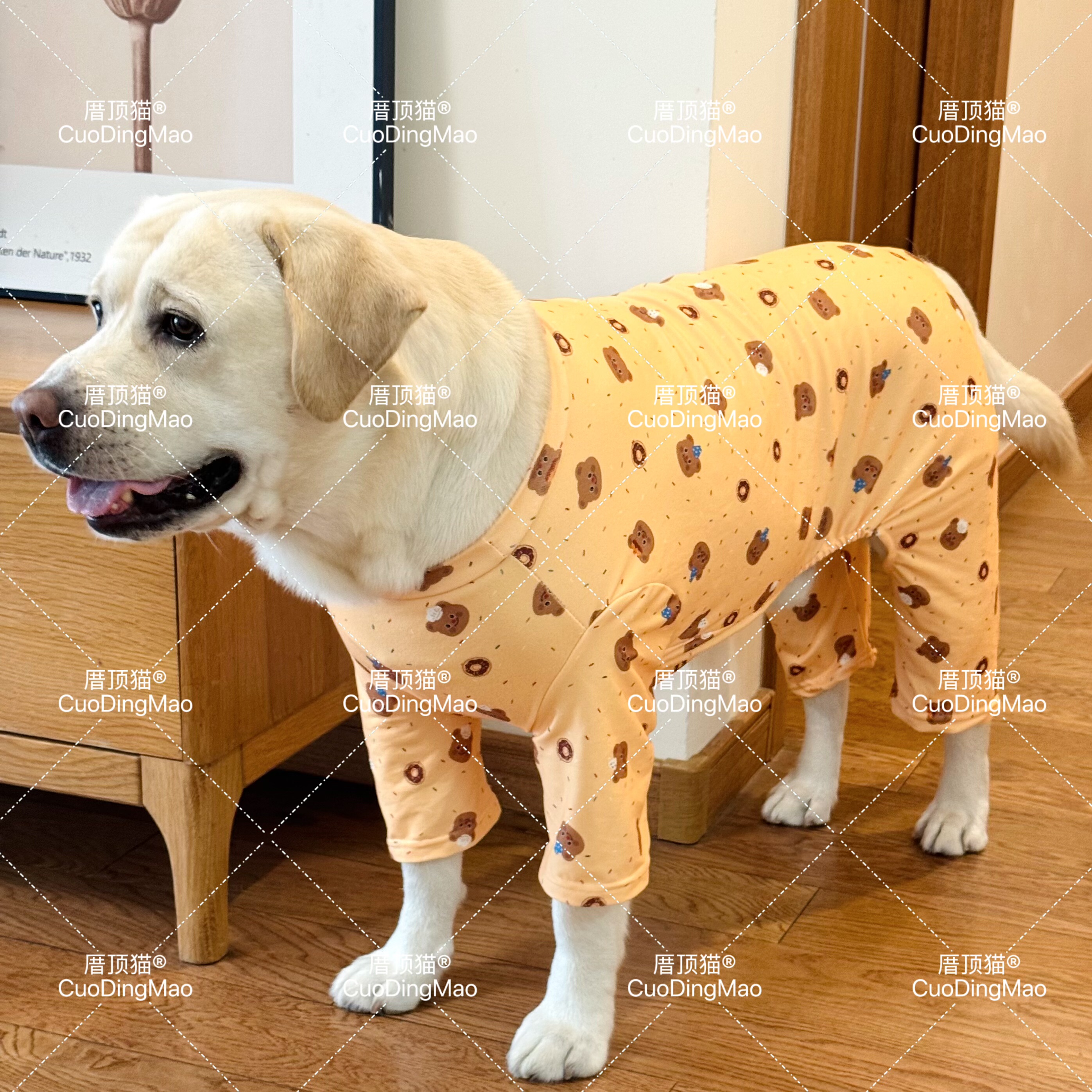大型犬德绒四脚衣服秋冬保暖金毛边牧拉布拉多大狗宠物居家服装潮