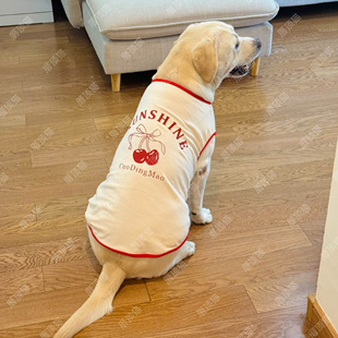 狗狗衣服新款秋冬德绒保暖背心防脏拉布拉多金毛边牧宠物中大型犬