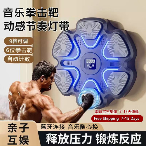 ElectronicBoxingTarget