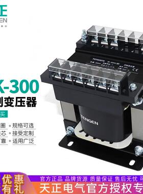 天正BK-300VA单相控制变压器380V变220V11036V24126V
