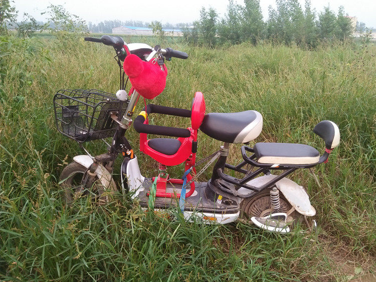 siège enfants pour vélo - Ref 2414711 Image 4