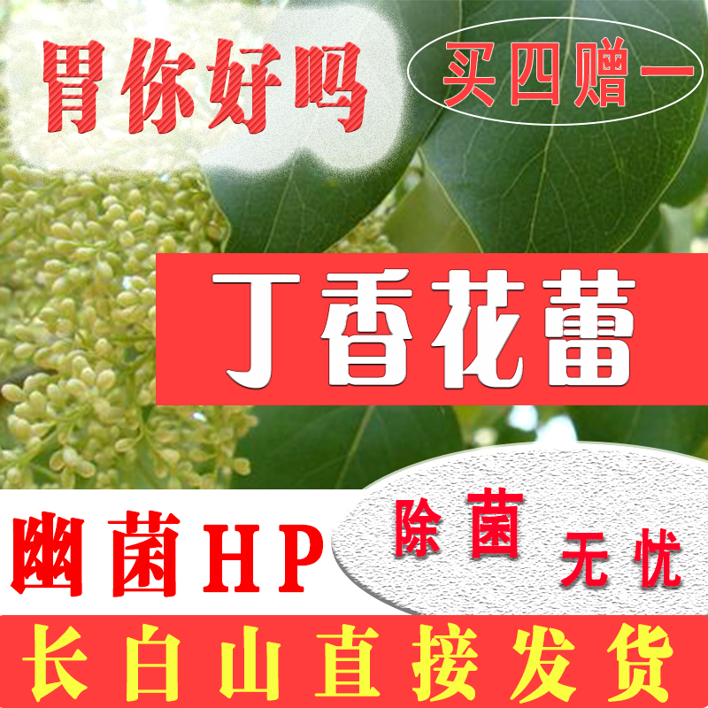 长白山丁香花蕾公丁香茶养胃口臭幽门杆菌胃酸嗳气中草药保健