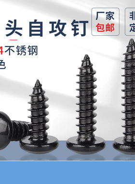 黑色304不锈钢圆头自攻螺丝螺钉盘头十字加长木螺丝钉M3-M5pf