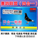 台湾赛鸽联盟顺成鸽药四合一粉4合1毛滴虫球虫呼吸道消化道鸽子药