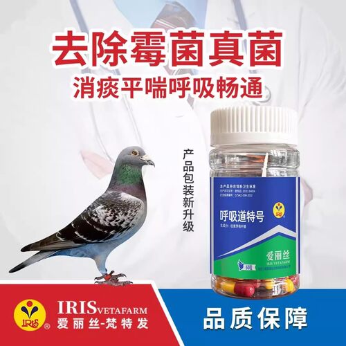 爱丽丝鸽药呼吸道特号60粒胶囊鸽子药赛鸽呼吸道气喘爱丽丝呼吸道 - 封面