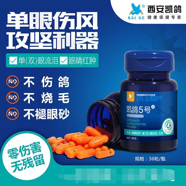 凯鸽鸽药凯鸽5号特号胶囊36粒赛鸽子衣原体单眼伤风眼睛流泪红肿