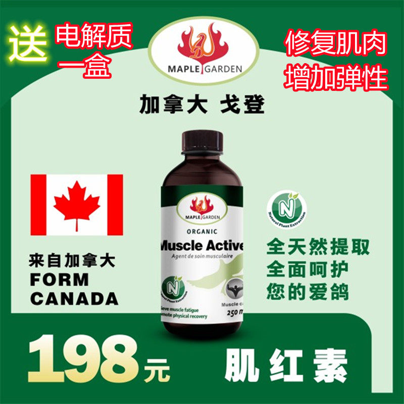 250ml信赛鸽子保健品肌肉鸽药